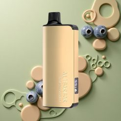 Alibarbar Ingot 9000 Puffs Borůvková Exploze 22ml 2350mAh