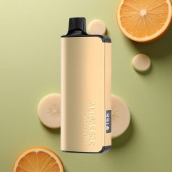 Alibarbar Ingot 9000 Puffs Černý Les 22ml 2350mAh 1.2Ohm