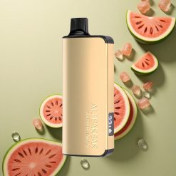 Alibarbar Ingot 9000 Puffs Vodní melounový led s 2350mAh baterií a 22ml kapalinou