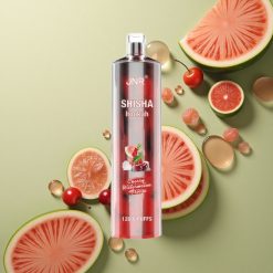 JNR Shisha Hookah 12000 Třešňový Melounový Mrazík 750mAh 24ml